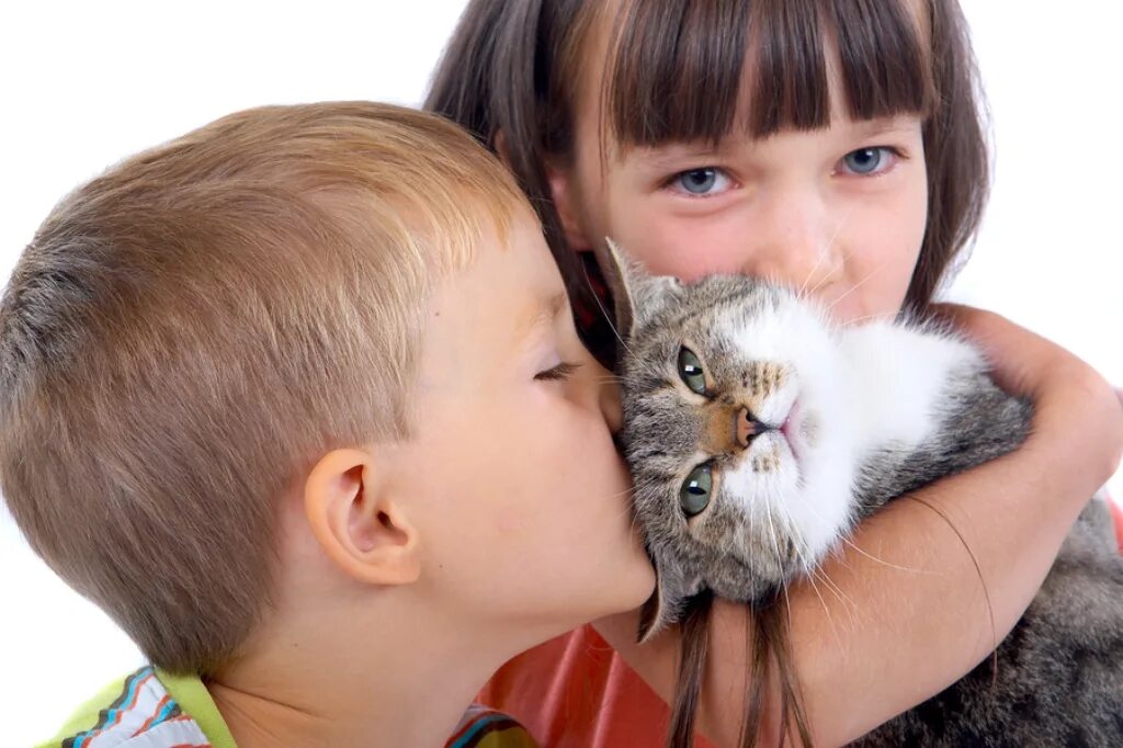 Два ребенка и две кошки