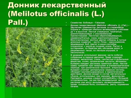 Как правильно принять цветы
