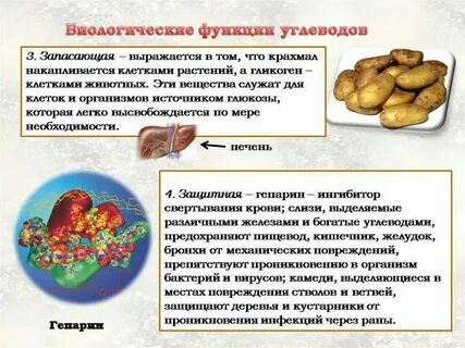 Кроссворд углеводы биология