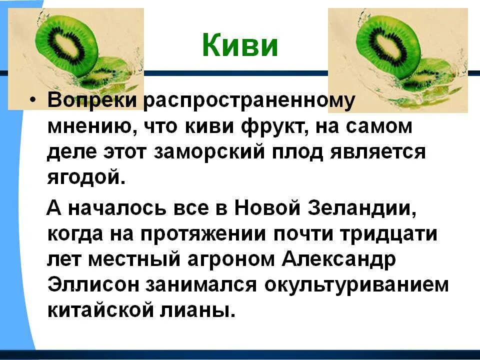 Киви информация. Чем полезен киви для организма. киви чем полезен фрукт. чем полезен киви. киви чем полезен фрукт для организма.