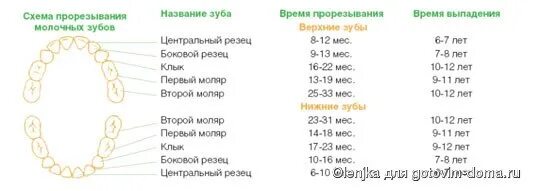 Может ли в 7 лет быть