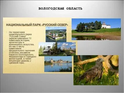 Вологодская область доклад