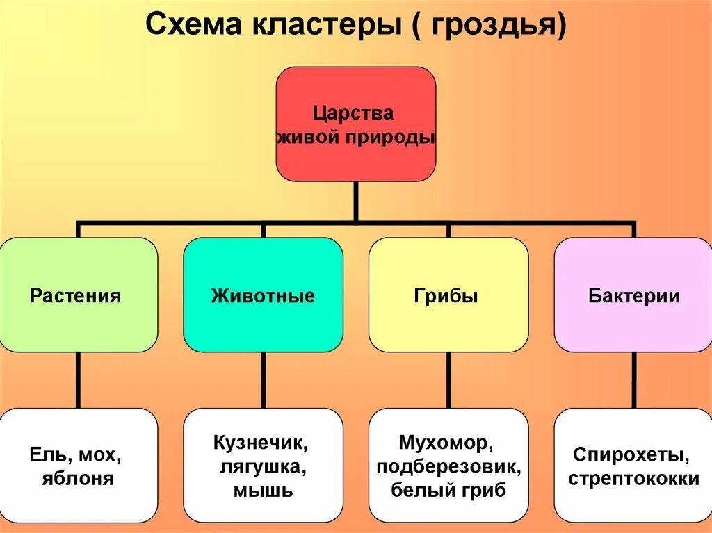 Царство живой природы пример. Царства живой природы представители. Царства живой природы схема. Классификация Царств живой природы. Таблица по биологии царство живой природы.