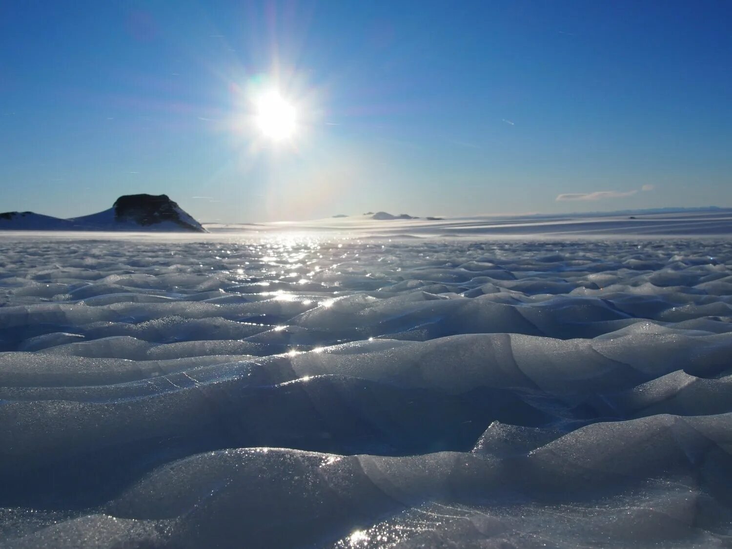 На полюсах всегда день. Антарктическая тундра в Антарктиде. Полярный Арктика Антарктика. Полярный день в Арктике. Арктические пустыни Полярный день.