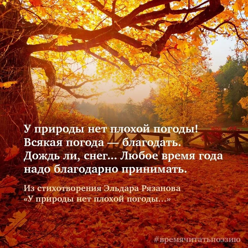 Осень жизни. Осень жизни стихи. Осень жизни надо благодарно принимать. Осенний возраст. Осень надо благодарно принимать.