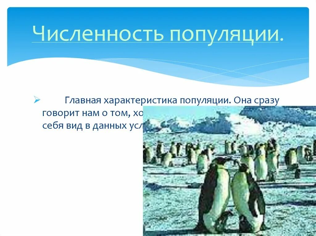 Численность популяции. Задания по теме численность популяции. Характер изменений численности в популяции. Популяция картинки. Изменение численности особей популяции называют