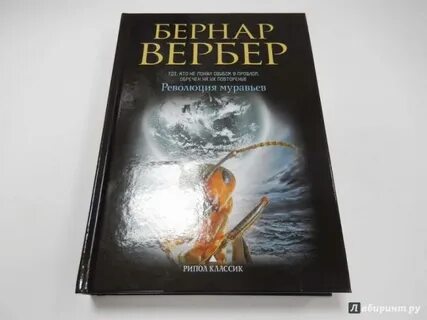 Вербер муравьи