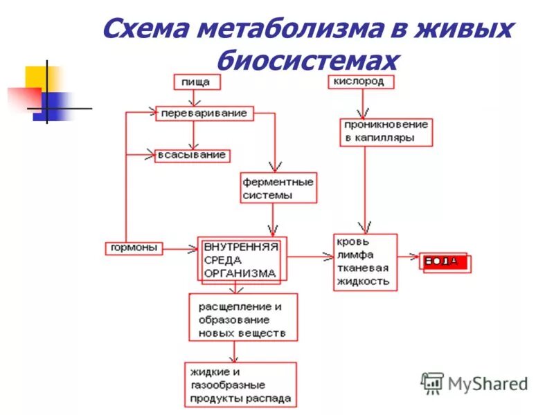 Распад кислорода