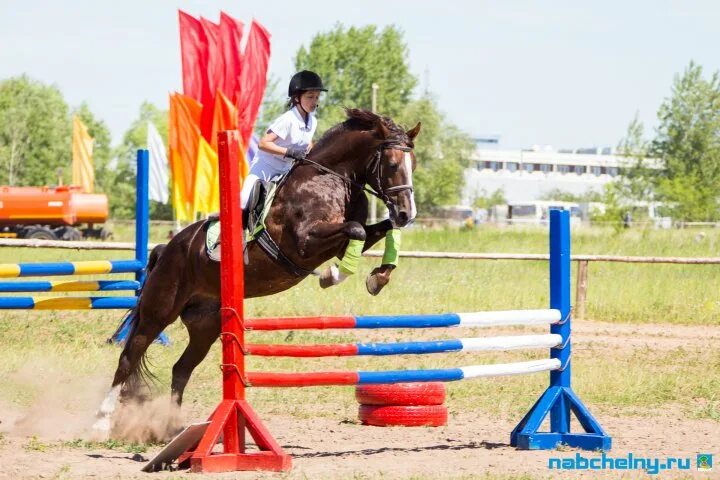 Челнинский ипподром набережные челны. Челнинский ипподром набережные челны. Каток на ипподроме акбузат. Ипподром набережные челны. Ипподром челны.
