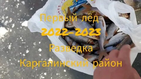 Рыбалка в ноябре 2023