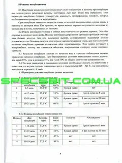 Слова из слова инкубатор