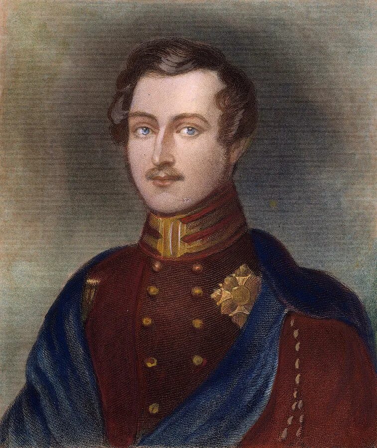 Принц альберд. Принц альберт. prince albert (1819 - 1861). принс альберт аниме. принц альберт молодой.