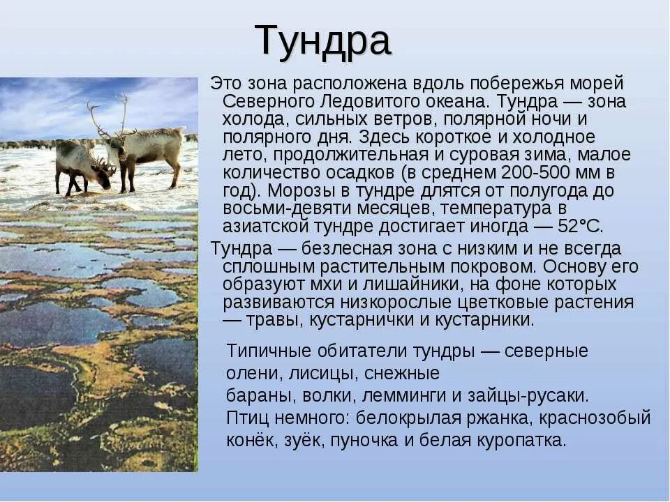 Тундра описание природной зоны. Природная зона тундра климат. Рассказ о природной зоне тундра. Рассказ о зоне тундры 4 класс окружающий мир. Тундра природная зона 5 класс