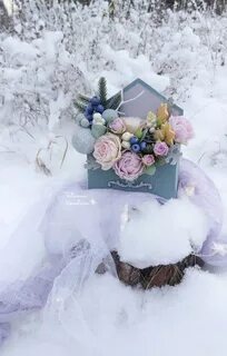 Рождение зимы