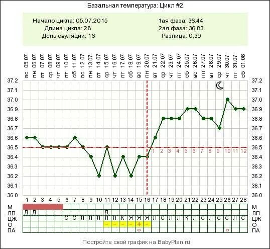 Можно ли забеременеть после дня овуляции форум