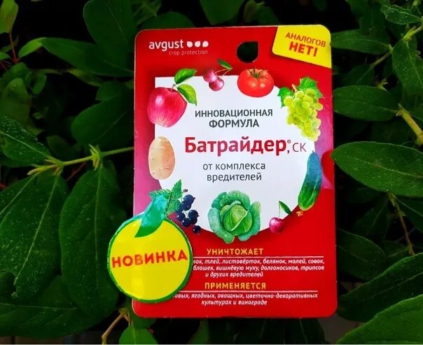 Батрайдер от долгоносика. Батрайдер 10 мл. батрайдер 10мл. (от вредителей) август кор/80шт. препарат батрайдер от вредителей.