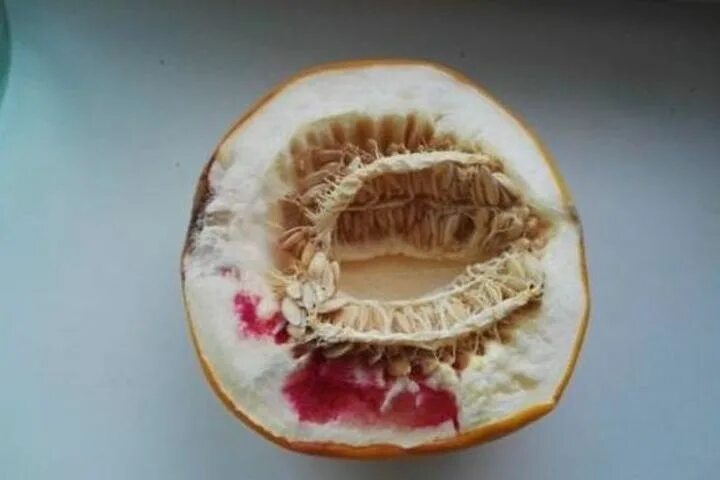 Почему лопаются дыни