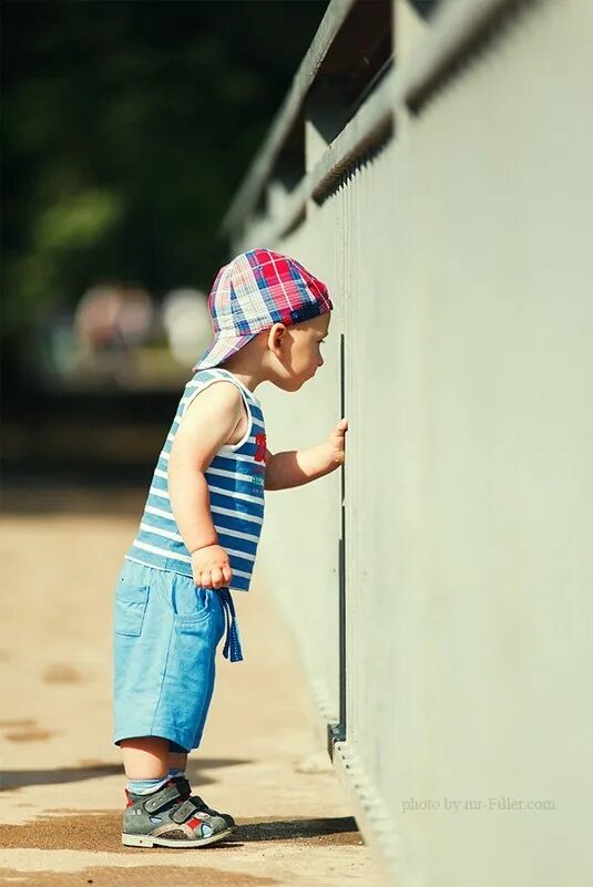 Идти любопытство. Любознательный ребенок. Позитивные картинки. Интересы ребенка. Дети и природа.