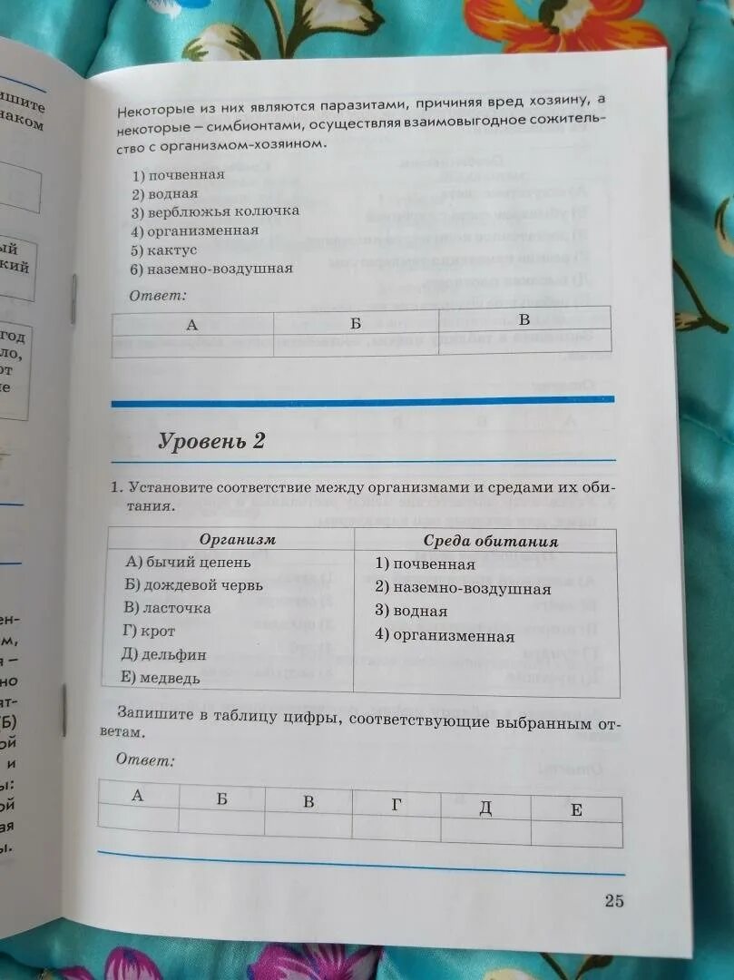 Контрольная по биологии 9 класс кожа. Биология проверочные работы работаем по новым стандартам. Биология контрольно проверочные работы 7 класс н. ф Бодрова. Ответы биология контрольно проверочная работа 6 класс Бодрова.