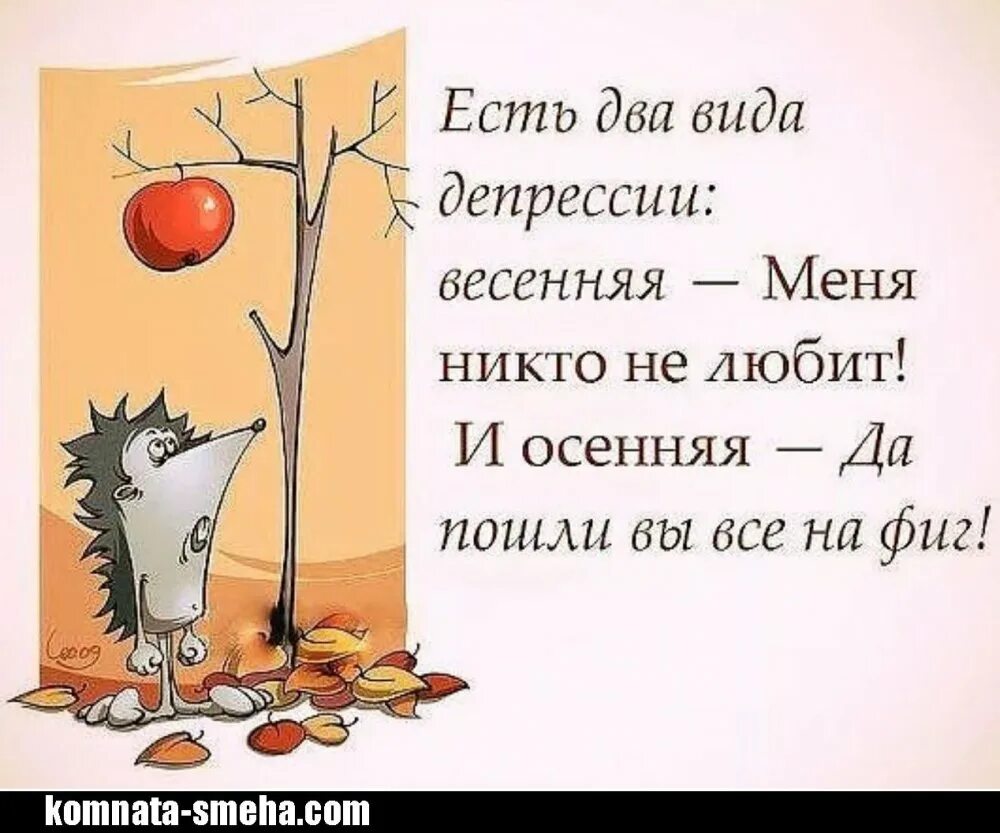 Депрессия не проходит. Шутки про осень. Анекдоты про осень в картинках. Осенняя депрессия приколы. Осенние шутки и приколы.