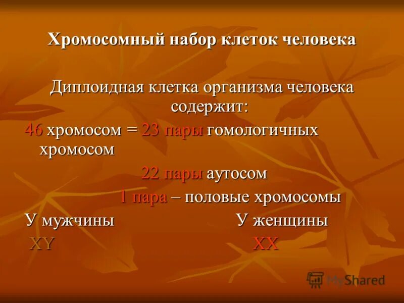 Закономерности наследования 10 класс презентация