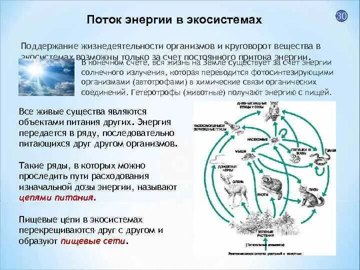 Круговорот веществ и поток энергии в природе. Поток энергии в экосистемах. Потоки вещества и энергии в экосистеме. Круговорот энергии в экосистеме.