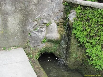 Голова в петербурге фото