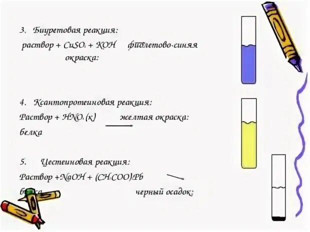 Тест белки 10 класс химия. Биуретовая реакция. Желтая окраска раствора реакция. Для проведения биуретовой реакции необходимо взять с собой.