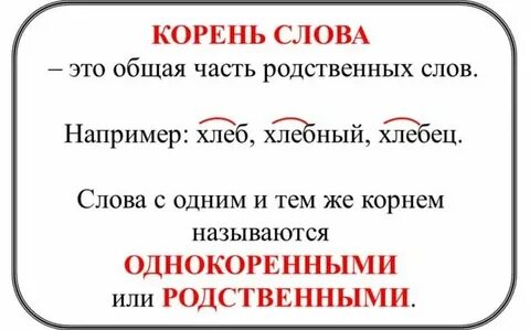 Дождевые корень слова