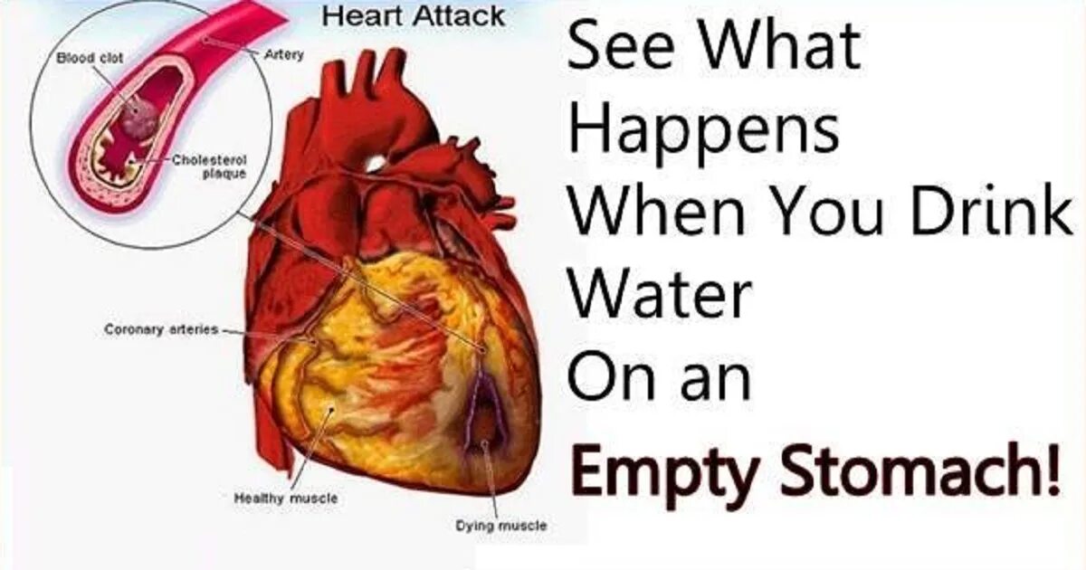 Life is what happens. What happened. When to Drink Water. Right Water.