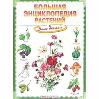 Растения автор