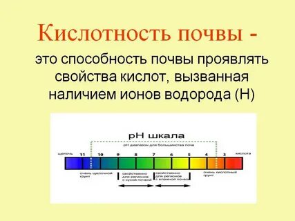 Ph для растений