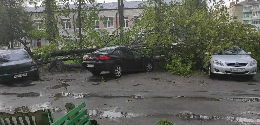 Новозыбков буря
