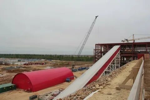 Месторождение гриба архангельская область