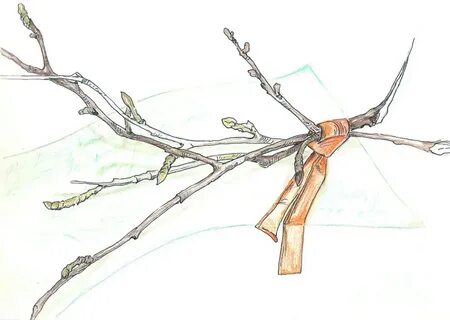 Рисование веток
