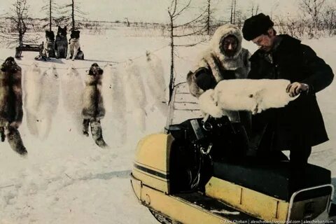Увб 76 буран веселье пупсоскот таймобобр