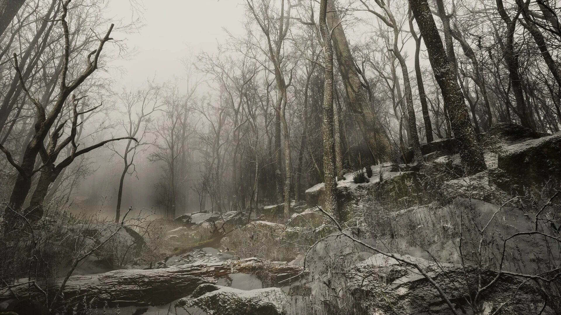 Unreal engine lumen. Ue5 forest. lumen ue5. анреал энджин 5. unreal engine 5 forest.