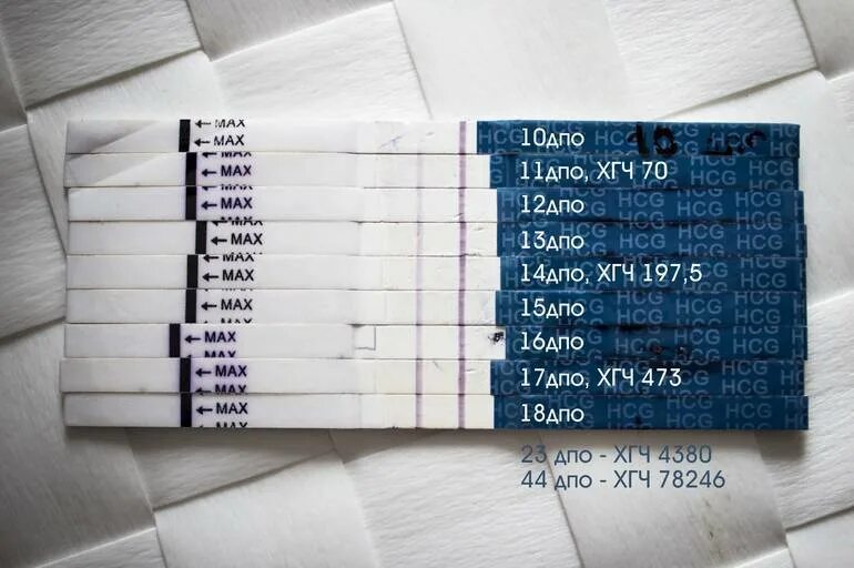 Какое уровень хгч покажет тест. Тест на хгч. тест на беременность. хгч тест на беременность. тесты на беременность по дням.