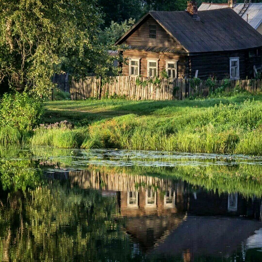 Красивая деревня. Сериал дом у реки (River Cottage). Акатово парк. Деревня деревенька Тверская область. Деревенский домик.