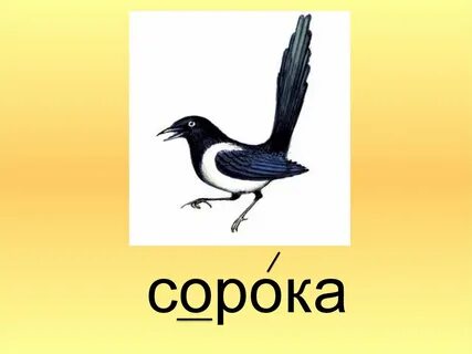 Ласточка словарное слово