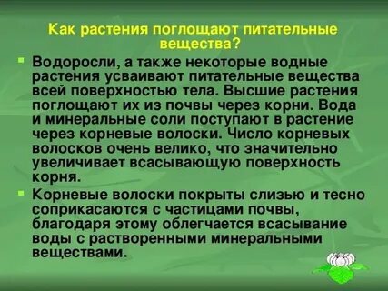 Водоросль поглощает воду и минеральные вещества