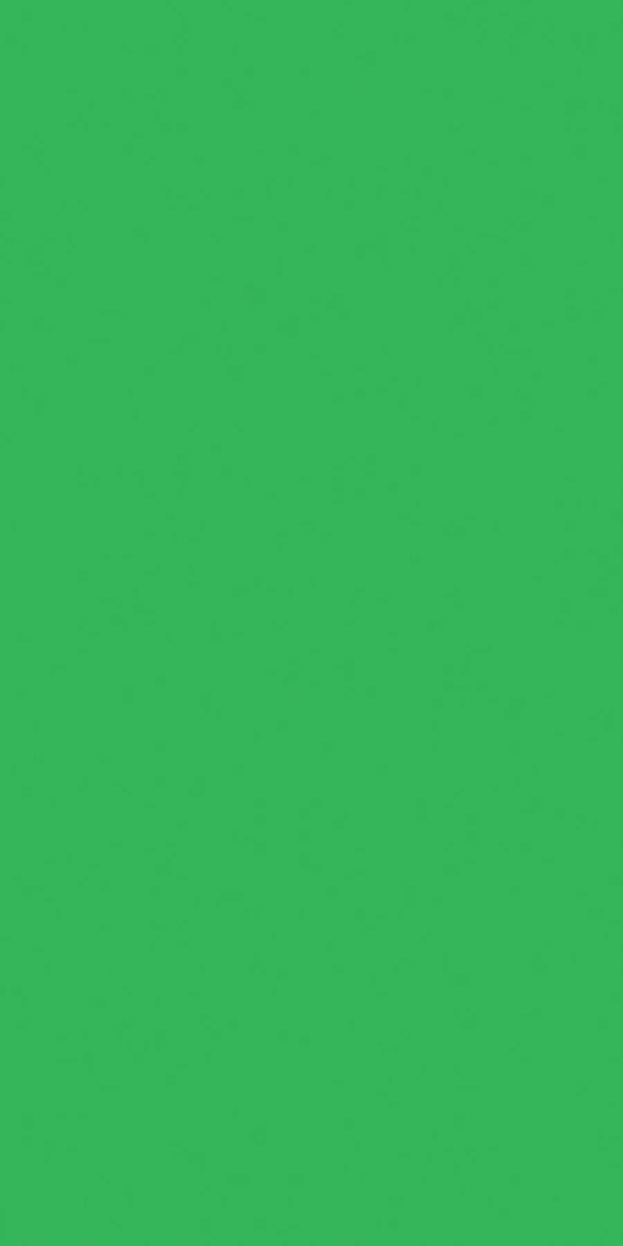 Сочетание зеленых оттенков. Изумрудный цвет 50c878. Сочетание розового и зеленого. Палитра зеленого цвета. Зеленый темно зеленый светло розовый.