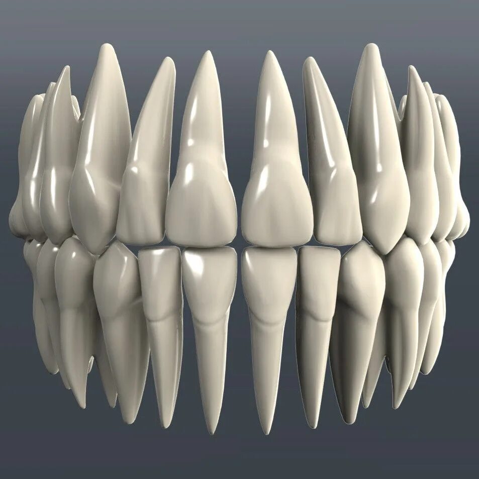 Зд моделирование зубов. Зуб 3d модель. Красивая анатомия зубов. 3д зубы моделирование.