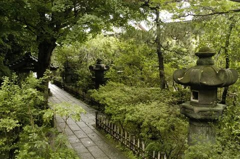 Japan step