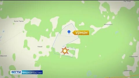 Урман асты