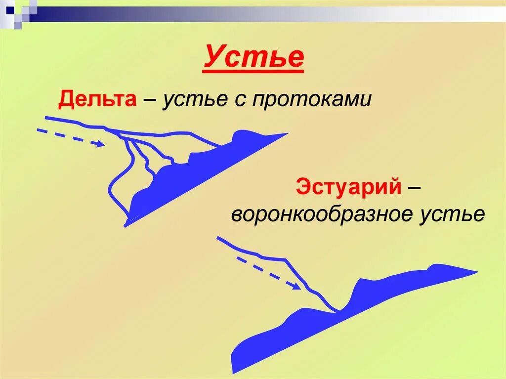 Что такое устье реки. Дельта и эстуарий. Части реки 6 класс география. Части течения реки 6 класс. Эстуарий и Дельта рисунки.