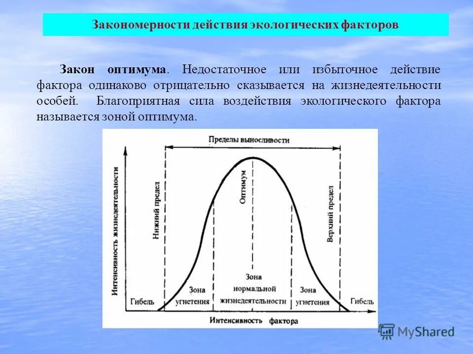 Закон воздействия экологических факторов. Факторы среды зона оптимума. Законы действия экологических факторов. Закономерности действия экологических факторов. Закономерности действия экологических факторов на организм.