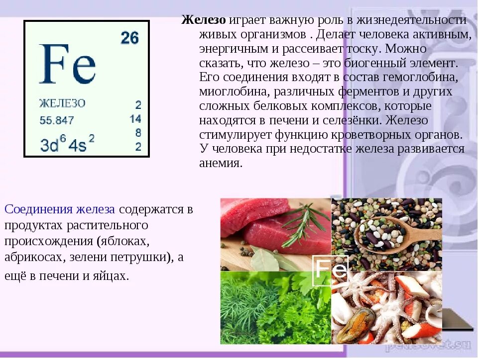 Железо в роли элемента. Железо в организме человека. Роль железа в организме человека. Роль железа в жизнедеятельности человека. Элемент железо в организме человека.