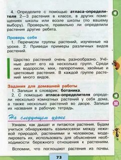 По заданию учебника определи несколько растений