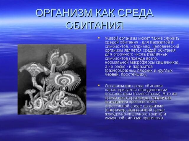 Тела организмов могут быть средой обитания. Организм как среда обитания. Организм как среда обитан. Живые организмы как среда. Организм является средой обитания для.